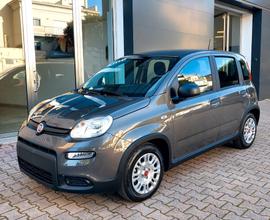 Fiat Panda 1.0 FireFly S&S Hybrid KM0 MY 2023