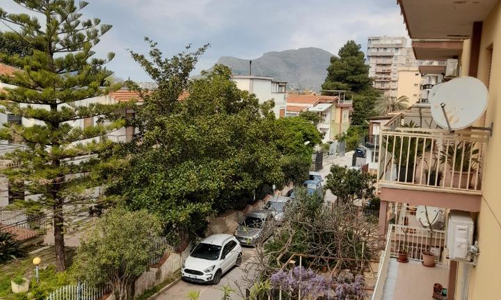 Pallavicino pentavani luminoso