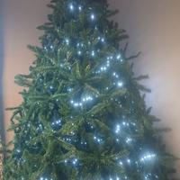 Albero di Natale Artificiale in Pino Verde