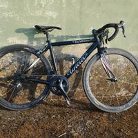 wilier triestina 