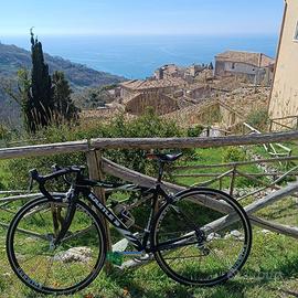 Bici da corsa in carbonio Kastle