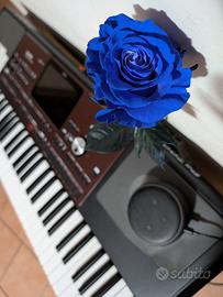 Korg pa700