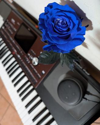 Korg pa700
