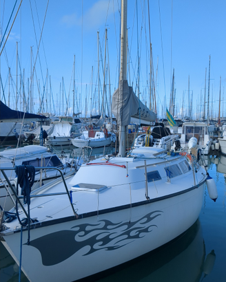 Barca a vela crociera e regata