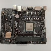 scheda madre Asus e processore AMD