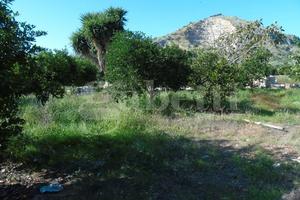 Bagheria Terreno Edificabile progetto approvato