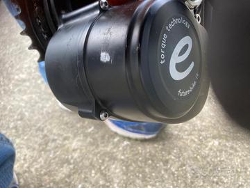 motore TONGSHENG 250 w COMPLETO di BATTERIA