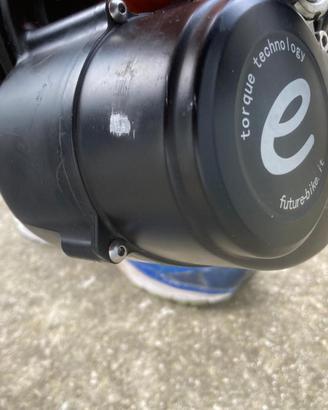 motore TONGSHENG 250 w COMPLETO di BATTERIA