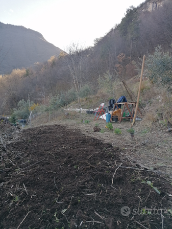 Terreno oliveto, vigna e orto