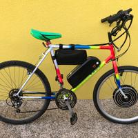 Bicicletta elettrica