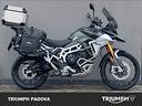 triumph-tiger-900-rally-pro-2024