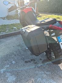 per Aprilia Tuareg 660 Valigia Shad