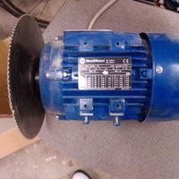 Motore elettrico asincrono trifase di Marelli Moto