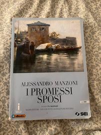 i promessi sposi