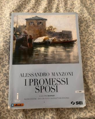 i promessi sposi