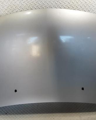 COFANO ANTERIORE SUZUKI SX4 1° Serie D19AA (06>)