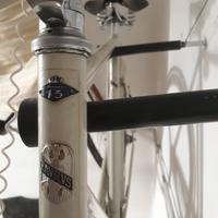 Bicicletta mod. 15 Taurus