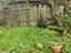Immagine 18