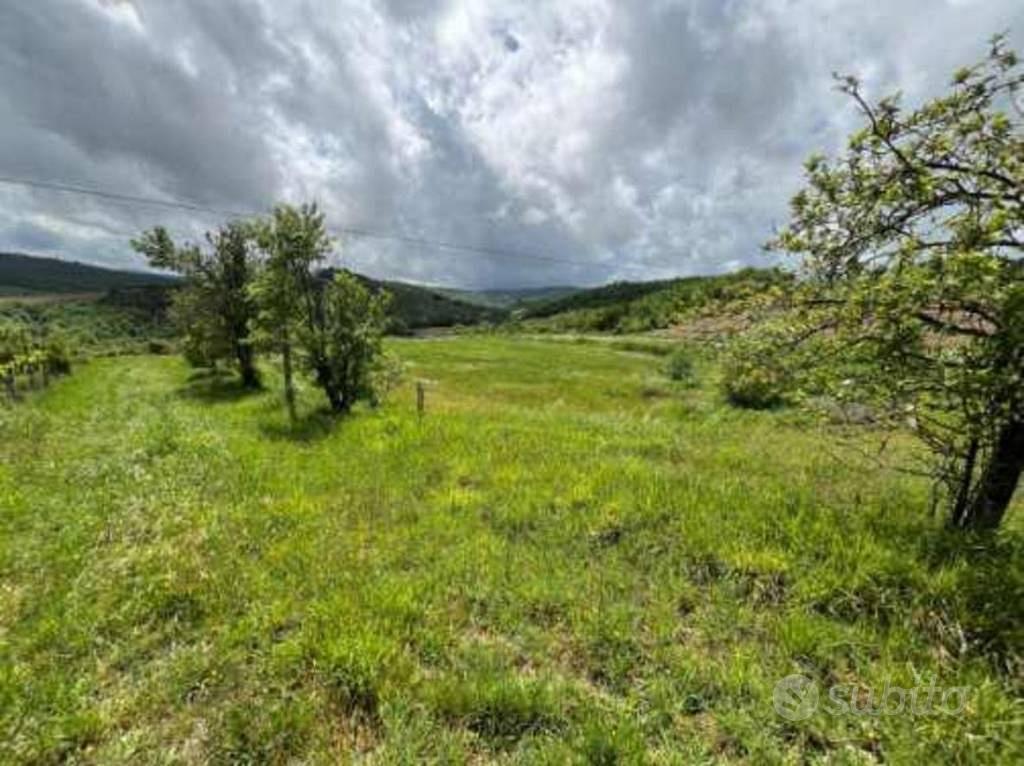 Immobile in asta di 10430 m² a San Venanzo - Vista 3