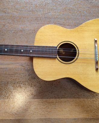 chitarra acustica vintage  