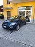 fiat-punto
