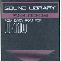 Roland Sound Library Card SN-U110-03  Ethnic Sound