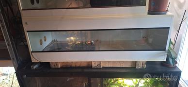 Terrario 120x40x50