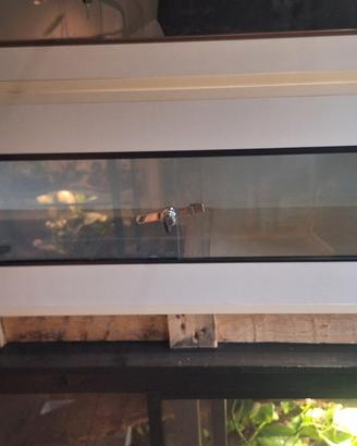 Terrario 120x40x50