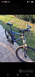 bici da uomo