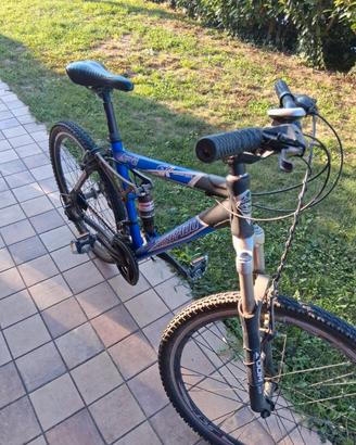 bici da uomo