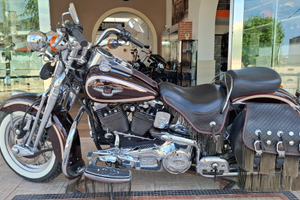 Harley davidson Heritage springher