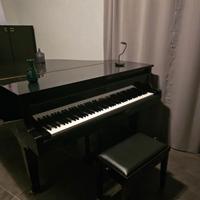Pianoforte a coda nero Bluthner