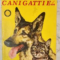 3 Album figurine vari - incompleti