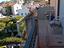 Immagine 17