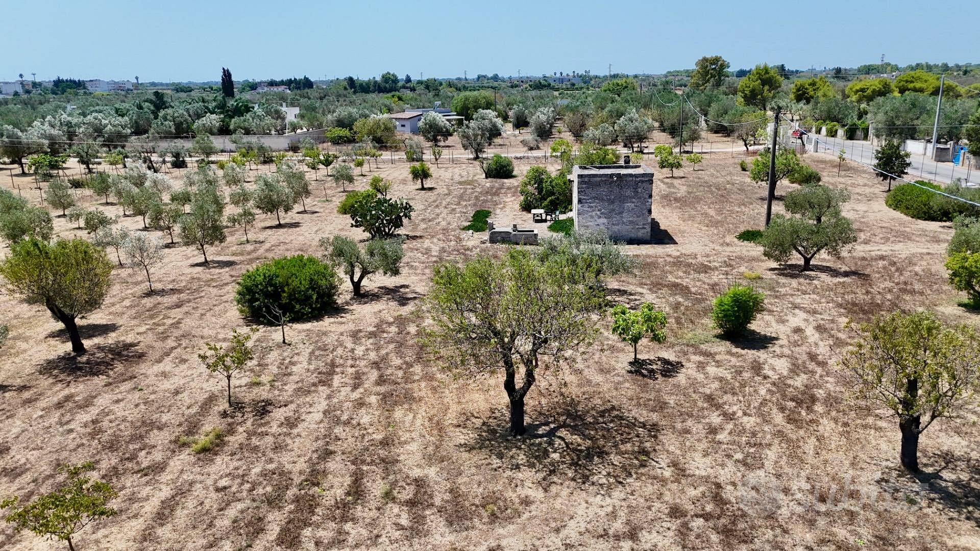 Rustico/Casale/Corte - Novoli - Altro