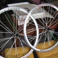 Cerchi bici bottecchia