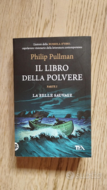 il libro della polvere