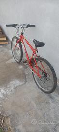 Mountain bike 24 pollici