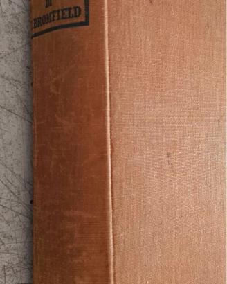 Libro d'epoca: La grande pioggia