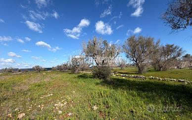 Terreno agricolo a Sanarica 1 locali