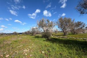 Terreno agricolo a Sanarica 1 locali