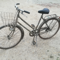 Bicicletta da donna 26
