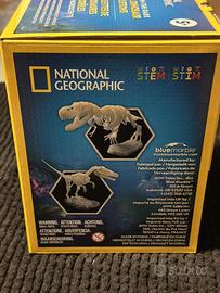 Kit modelli scheletri dinosauri T-Rex Velociraptor