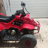 Can-Am Altro modello