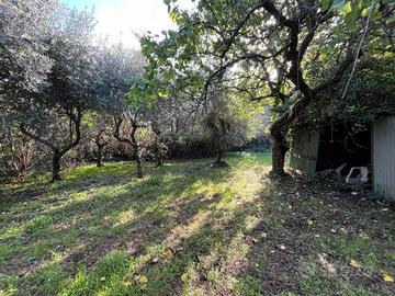Terreno di 500 m² a Viterbo
