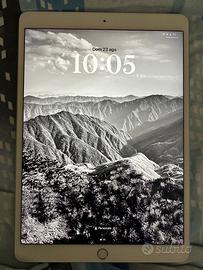 iPad Air 3 256GB Wi-Fi Cellular 4G ECCELLENTE