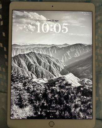 iPad Air 3 256GB Wi-Fi Cellular 4G ECCELLENTE