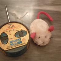 topolino con telecomando per gatti 