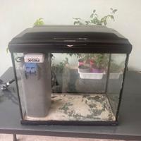 Acquario marino e dolce.