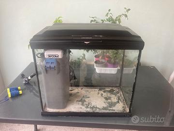 Acquario marino e dolce.